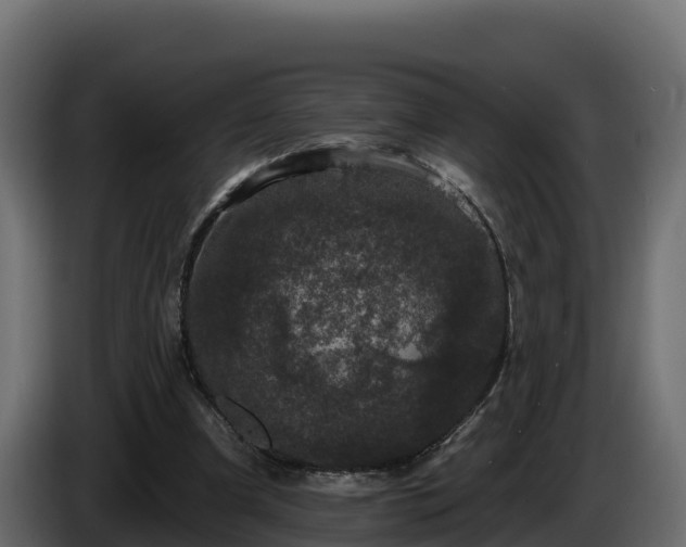 X0000085760297200703231201