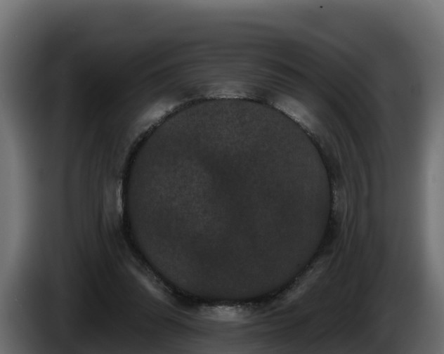 X0000085760302200703231201