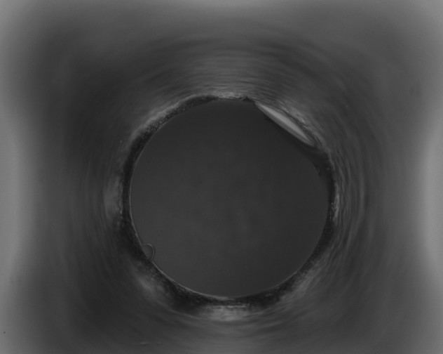 X0000085760303200703231201