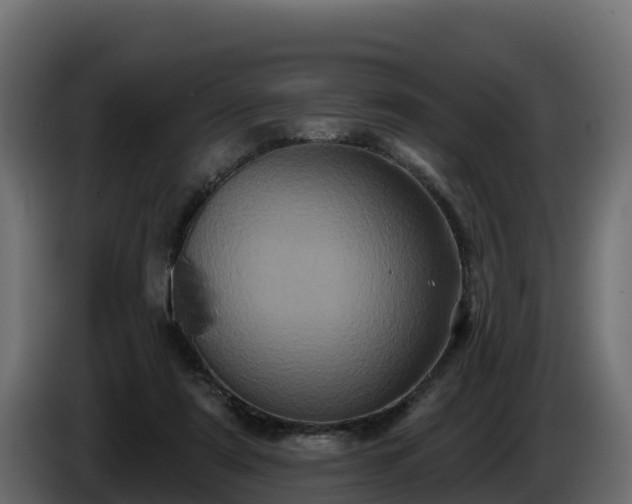 X0000085760307200703231201