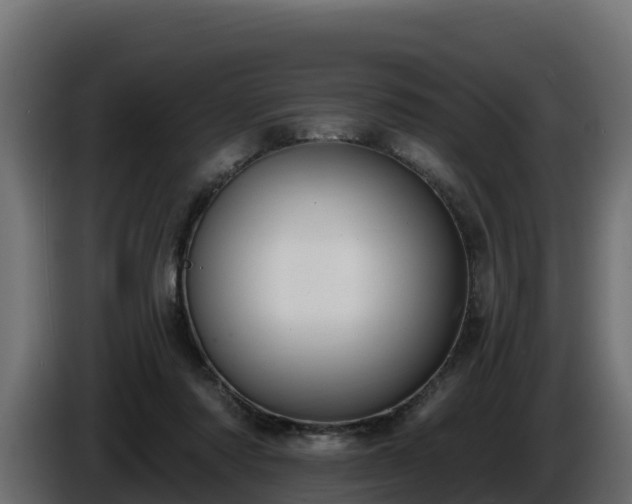 X0000085760310200703231200