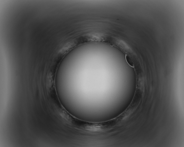 X0000085760318200703231200