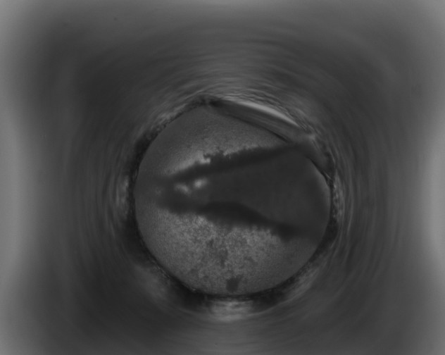 X0000085760319200703231200