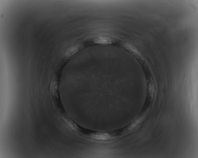 X0000085760322200703231200