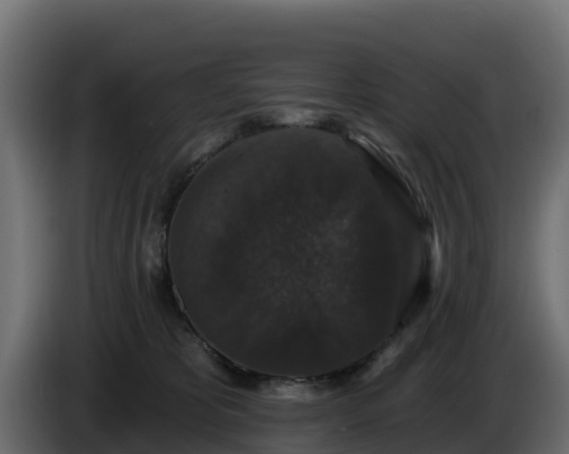 X0000085760325200703231200