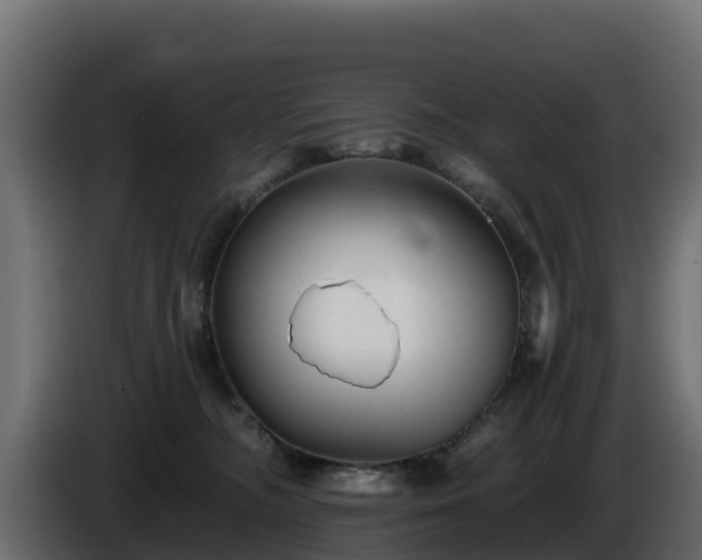 X0000085760326200703231200