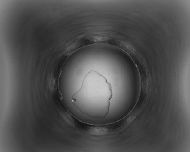 X0000085760327200703231200