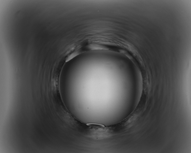 X0000085760329200703231200