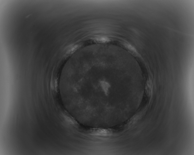 X0000085760330200703231200