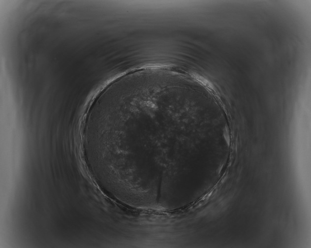 X0000085760337200703231159