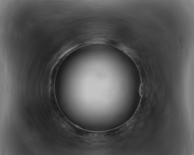 X0000085760338200703231159