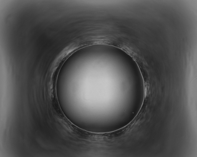 X0000085760339200703231159