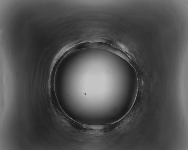X0000085760340200703231159