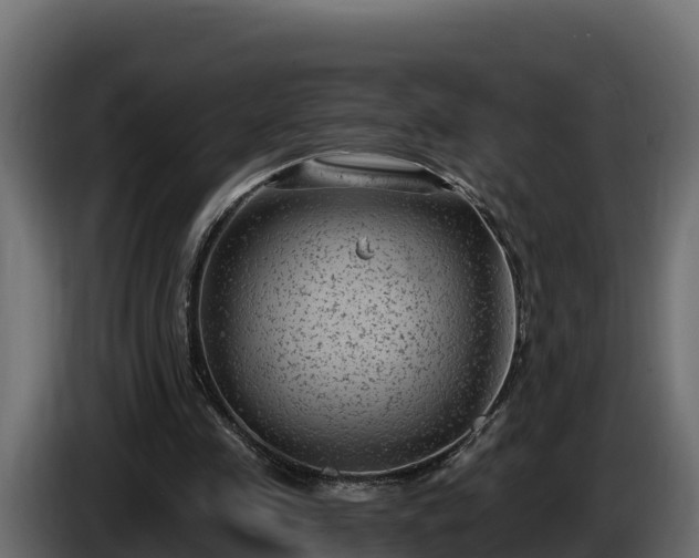 X0000085760341200703231159