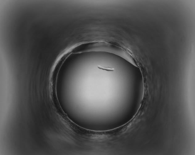 X0000085760342200703231159