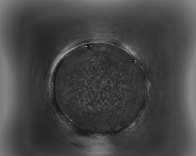 X0000085760343200703231159