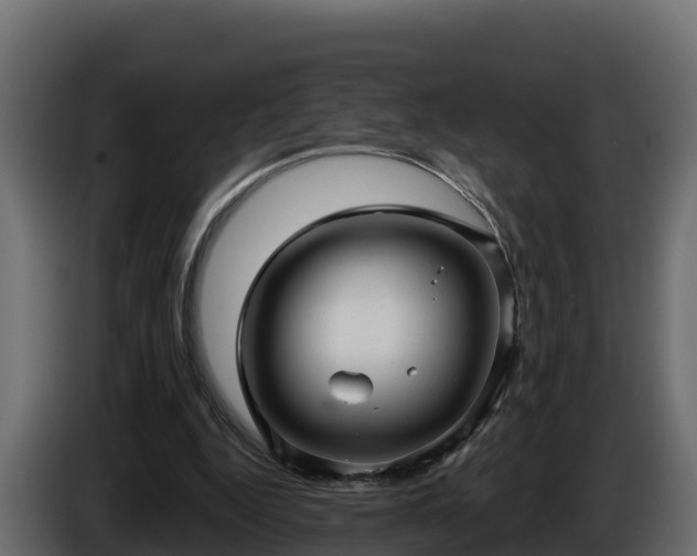 X0000085760344200703231159
