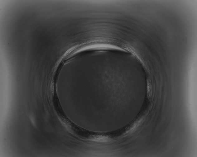 X0000085760348200703231159