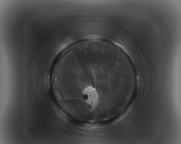 X0000085760351200703231159