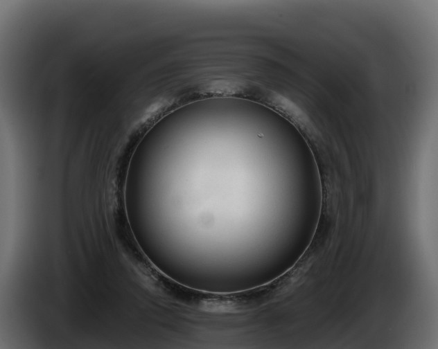 X0000085760354200703231159