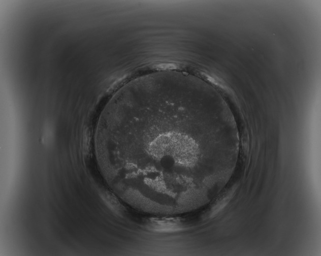 X0000085760359200703231159