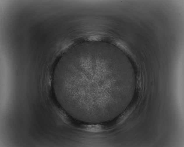 X0000085760363200703231200