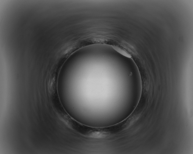X0000085760364200703231200