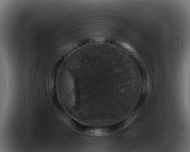 X0000085760365200703231200