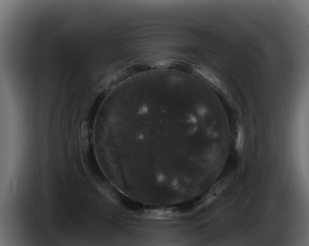 X0000085760366200703231200