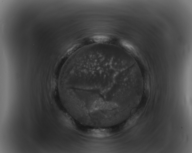 X0000085760367200703231200