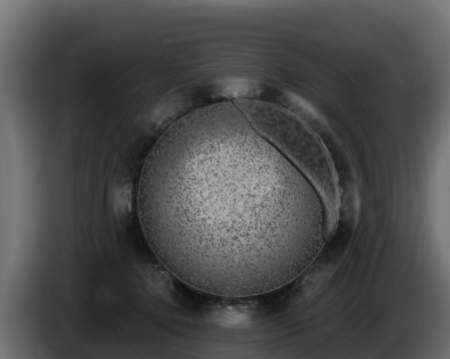 X0000085760368200703231200
