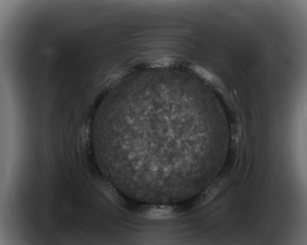 X0000085760369200703231200