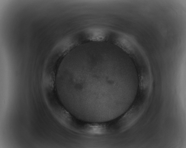 X0000085760370200703231200