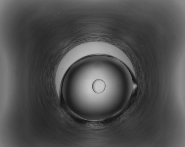 X0000085760372200703231200