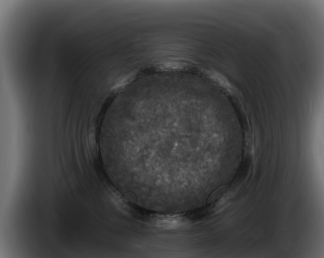 X0000085760377200703231200