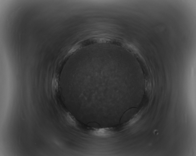 X0000085760382200703231200