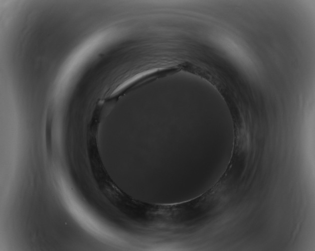 X0000085760383200703231200