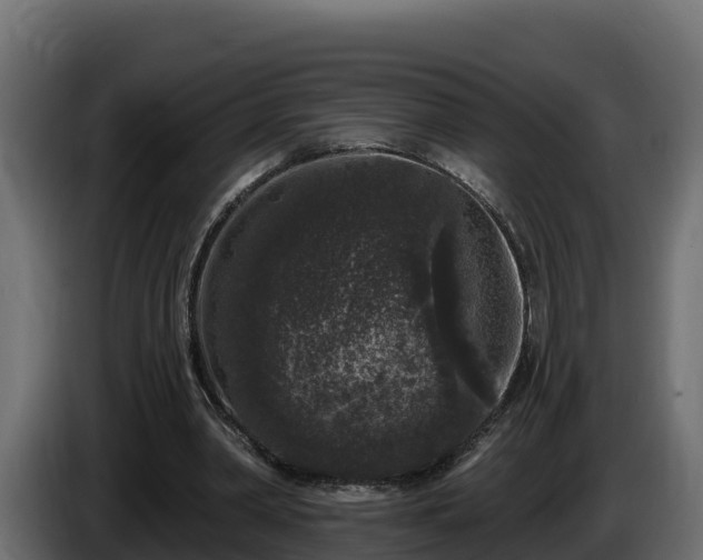 X0000085760390200703231159