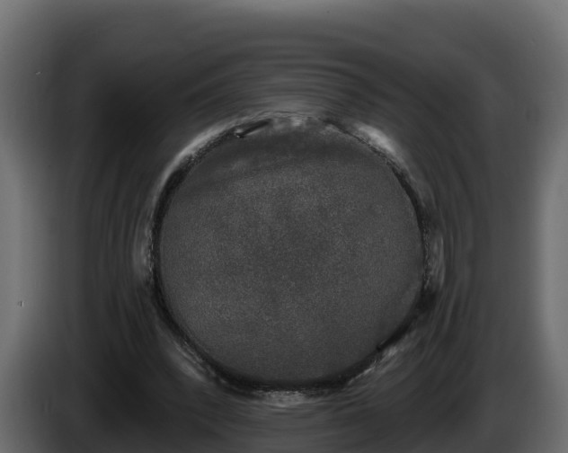 X0000085760392200703231159