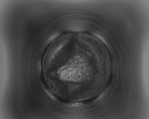 X0000085760398200703231159