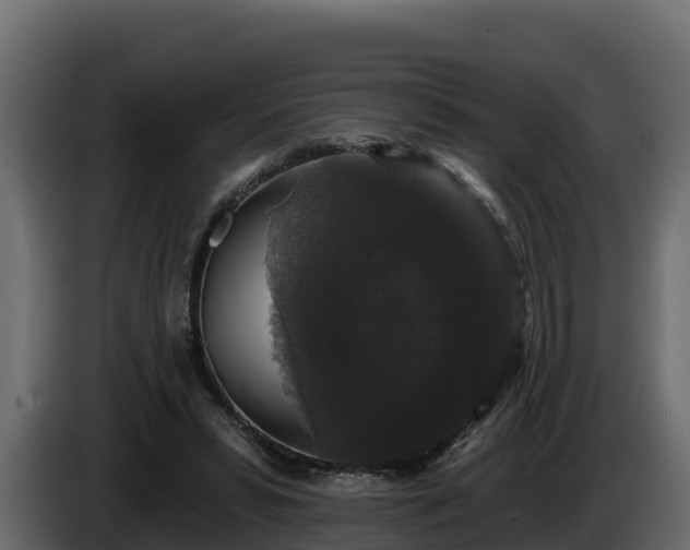 X0000085760399200703231159