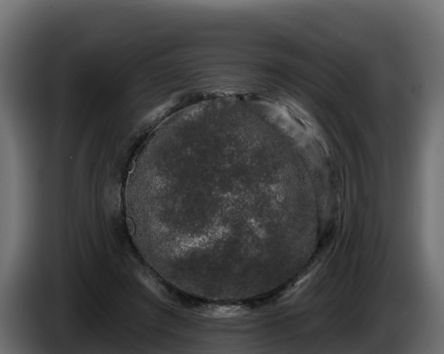 X0000085760401200703231159