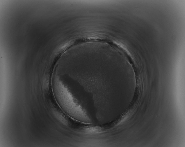 X0000085760402200703231159