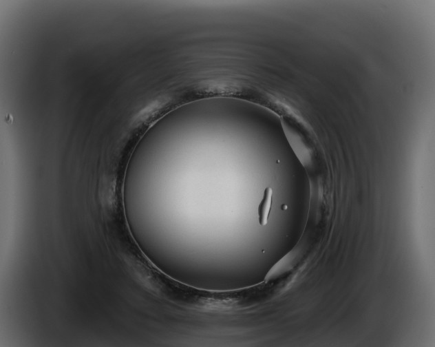 X0000085760403200703231159