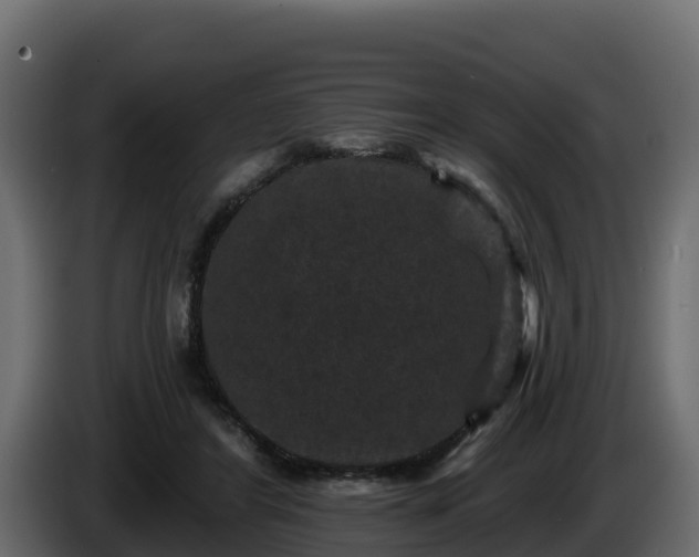 X0000085760404200703231159