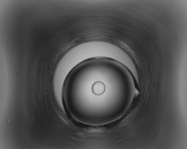 X0000085760405200703231159