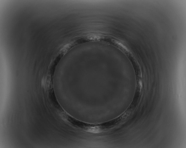 X0000085760411200703231159