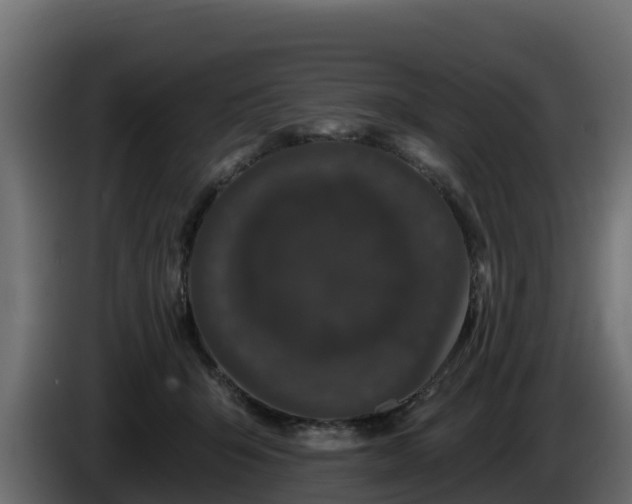 X0000085760415200703231159