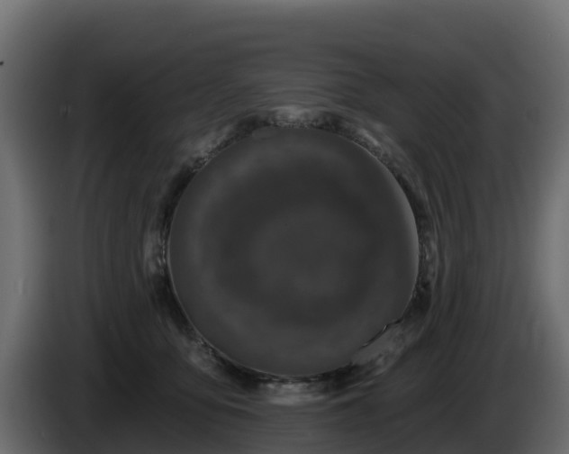X0000085760419200703231159