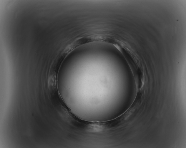X0000085760425200703231158